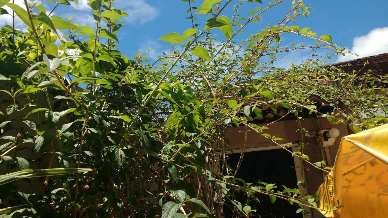 סלבאדור Hostel Torre Bahia מראה חיצוני תמונה